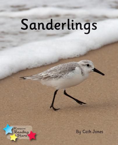 Sanderlings: Phonics Phase 4