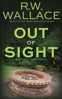 Cover image for Out of Sight