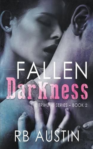 Cover image for Fallen Darkness