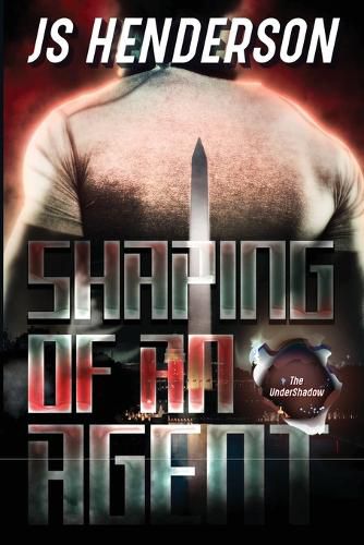 Cover image for Shaping of an Agent