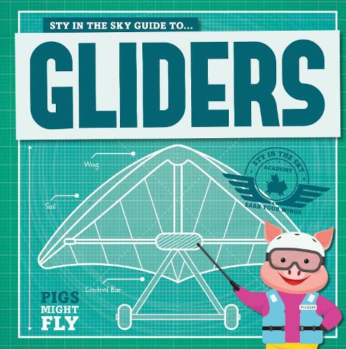 Cover image for Gliders