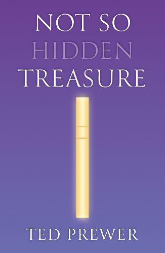 Cover image for Not So Hidden Treasure