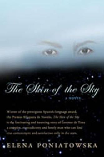 Cover image for Skin of the Sky: A Novel