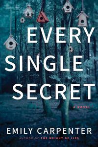 Cover image for Every Single Secret: A Novel