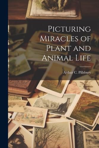 Cover image for Picturing Miracles of Plant and Animal Life