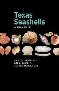 Cover image for Texas Seashells: A Field Guide