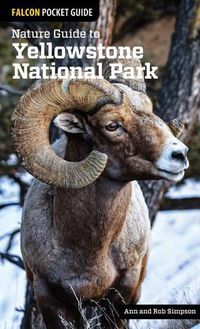 Cover image for Nature Guide to Yellowstone National Park