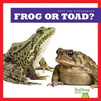 Cover image for Frog or Toad?