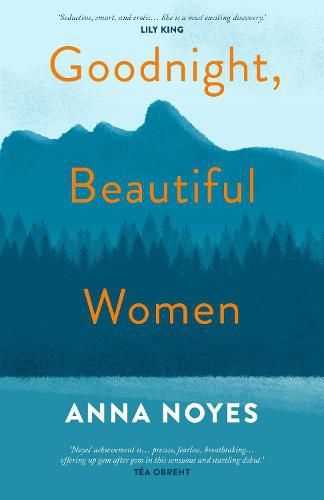 Cover image for Goodnight, Beautiful Women: a powerful collection of short stories about the women of a small town in Maine