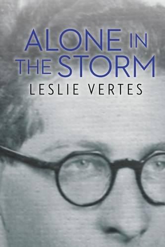 Cover image for Alone in the Storm