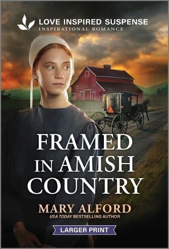 Cover image for Framed in Amish Country