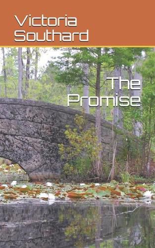 Cover image for The Promise