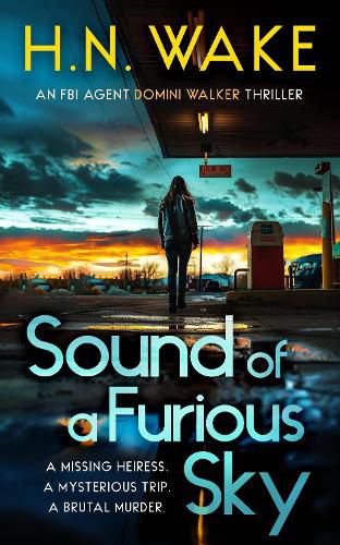 Cover image for Sound of a Furious Sky