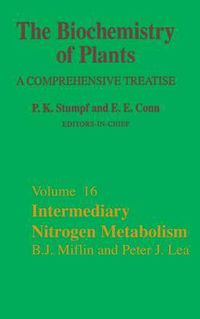 Cover image for Intermediary Nitrogen Metabolism