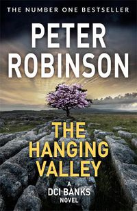 Cover image for The Hanging Valley