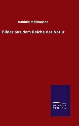 Bilder aus dem Reiche der Natur