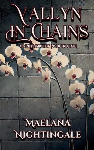 Cover image for Vallyn in Chains