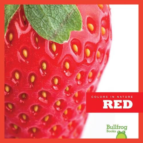 Cover image for Red