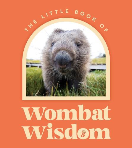 Cover image for Little Book Of Wombat Wisdom