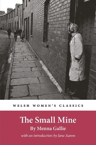 Cover image for The Small Mine