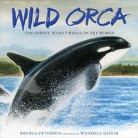 Cover image for Wild Orca: The Oldest, Wisest Whale in the World