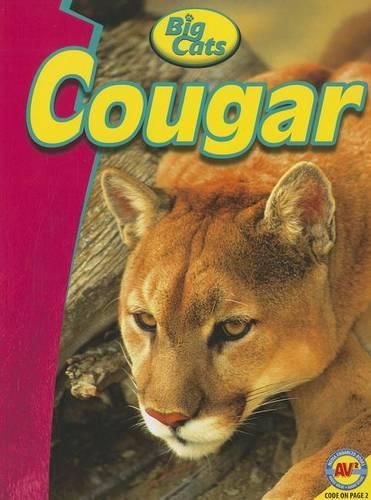 Cover image for Cougar