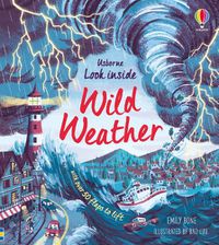 Cover image for Look Inside Wild Weather