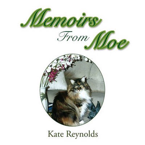 Cover image for Memoirs from Moe