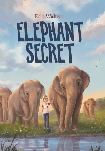 Cover image for Elephant Secret