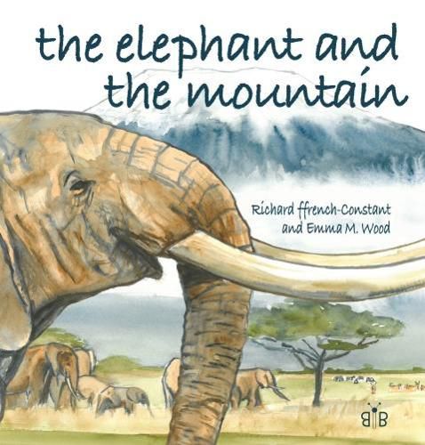 Cover image for The Elephant and the Mountain