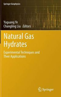 Cover image for Natural Gas Hydrates: Experimental Techniques and Their Applications