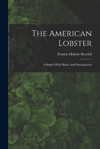 The American Lobster