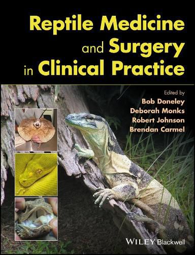 Cover image for Reptile Medicine and Surgery in Clinical Practice