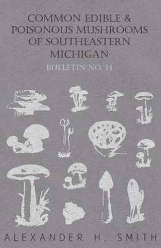 Cover image for Common Edible And Poisonous Mushrooms Of Southeastern Michigan - Bulletin No. 14