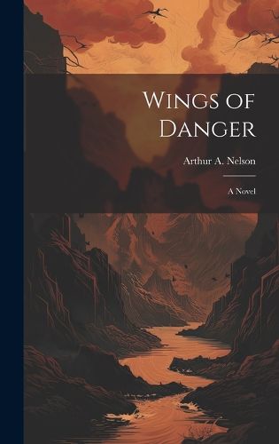 Cover image for Wings of Danger