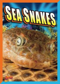 Cover image for Sea Snakes