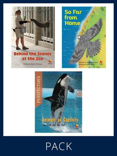 Cover image for Flying Start Paired & Perspective Pack Level Q, Pack 3: Includes Pair of Student Books (SB) 6 copies each, Perspectives Books 6 copie