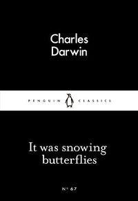 Cover image for It Was Snowing Butterflies