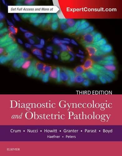 Cover image for Diagnostic Gynecologic and Obstetric Pathology