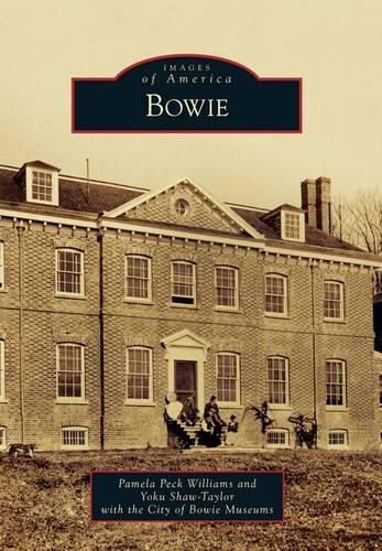 Cover image for Bowie