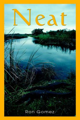 Cover image for Neat