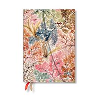 Cover image for Paperblanks 2025 Weekly Planner Anemone William Kilburn 12-Month MIDI Horizontal Wrap 160 Pg 100 GSM
