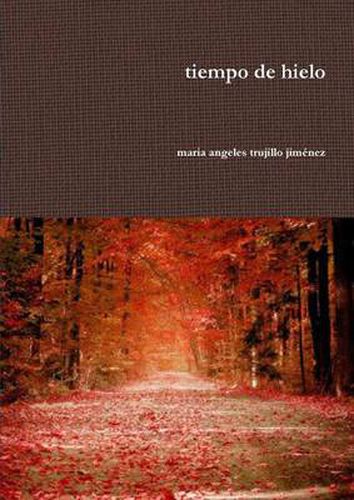 Cover image for Tiempo De Hielo