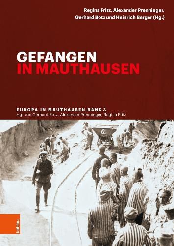 Cover image for Gefangen in Mauthausen