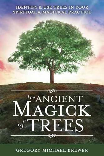 Cover image for The Ancient Magick of Trees: Identify and Use Trees in Your Spiritual and Magickal Practice