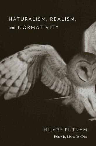 Cover image for Naturalism, Realism, and Normativity