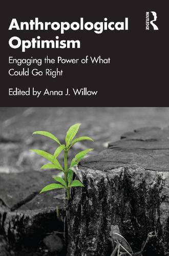 Cover image for Anthropological Optimism