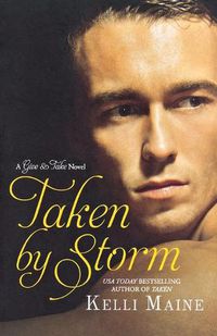 Cover image for Taken by Storm