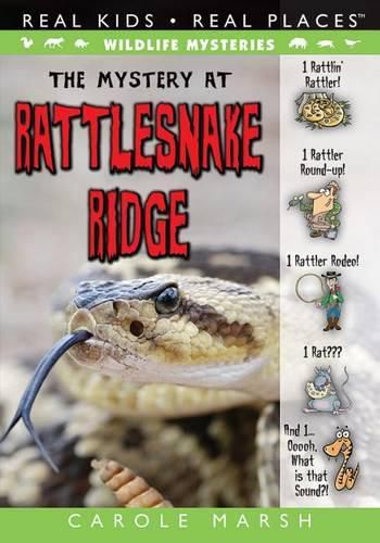 Cover image for The Mystery at Rattlesnake Ridge