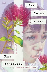 Cover image for The Color of Air: A Novel